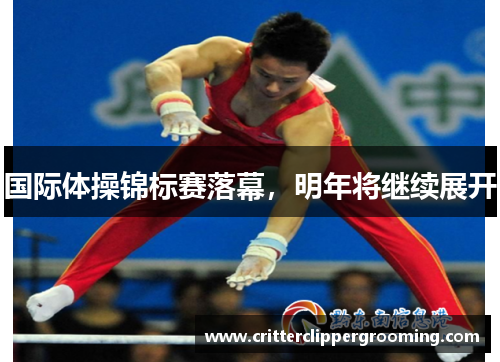 国际体操锦标赛落幕，明年将继续展开