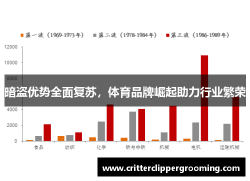 暗盗优势全面复苏，体育品牌崛起助力行业繁荣