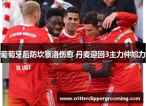 葡萄牙后防坎塞洛伤愈 丹麦迎回3主力仲尬力